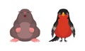 Cute Woodland Animals with Mole and Woodpecker Vector Set