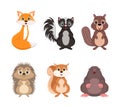 Cute Woodland Animals with Red Fox, Skunk, Beaver, Hedgehog, Squirrel and Mole Vector Set