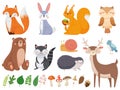 Cute woodland animals. Wild animal, forest flora and fauna elements isolated cartoon vector illustration set Royalty Free Stock Photo