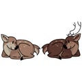 Cute woodland doe and buck vector illustration. Buck deer with antlers. Childlish hand drawn doodle style. For game