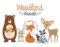 Woodland Forest Animals Vector Illustration