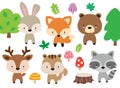 Cute Woodland Wild Animal Set Vector Illustration Royalty Free Stock Photo