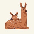 Cute woodland and zoo animal, happy calf. Forest sika deers, fluffy and funny mother and baby lie. Furry wood beast