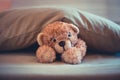 Cute wool teddy bear is lying in the bed Royalty Free Stock Photo