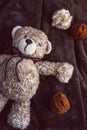 Cute wool teddy bear is lying in the bed Royalty Free Stock Photo