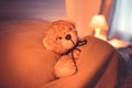 Cute wool teddy bear is lying in the bed Royalty Free Stock Photo