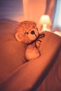 Cute wool teddy bear is lying in the bed Royalty Free Stock Photo