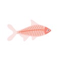 Cute X-ray fish on white background in cartoon flat style. Vector simple illustration Royalty Free Stock Photo