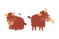 Cute Yak Character with Dense Fur and Horns Chewing Grass and Sleeping Vector Set Royalty Free Stock Photo