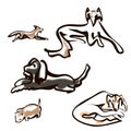 Hand drawn lying dog set. Vector sketch black isolated animal pet illustration on white background