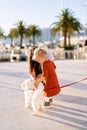 Cute 2-year old girl in a terracotta dress is playing with a small white dog on a leash Royalty Free Stock Photo