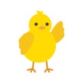 Cute yellow baby chicken wave hello for easter design. Little yellow cartoon chick. Vector illustration isolated on Royalty Free Stock Photo