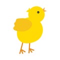 Cute yellow baby chicken tweet, for Easter design. Little yellow cartoon chick. Vector illustration isolated on white Royalty Free Stock Photo