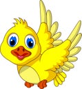 Cute Yellow bird cartoon flying Royalty Free Stock Photo