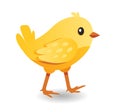 Cute yellow bird. Hen kid. Cartoon chick icon for farm vector Royalty Free Stock Photo