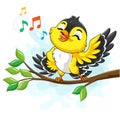 Cute yellow canary bird singing