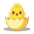 Cute Yellow chick hatching from an egg on white background Royalty Free Stock Photo
