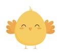 cute yellow chick Royalty Free Stock Photo