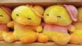cute yellow duck doll on the toys shop