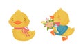 Cute Yellow Duckling Carrying Bunch of Flowers and Sitting Vector Set