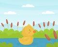 Cute Yellow Duckling Chick Swimming in Pond Vector Illustration Royalty Free Stock Photo