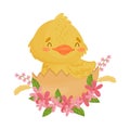 Cute yellow duckling sitting in the shell. Vector illustration on a white background.