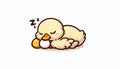 Cute Yellow Duckling Sleeping on Eggs Royalty Free Stock Photo