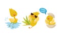 Cute Yellow Duckling Swimming in Water, Hatching and Wearing Sunglasses Vector Set Royalty Free Stock Photo