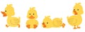 Cute yellow ducks cartoon collcetion set