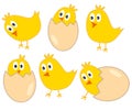 Cute yellow easter chickens with eggs - vector illustration isolated on white