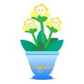 Cute yellow flowers are in pots