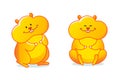 Cute yellow hamsters in standing and sitting poses