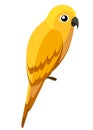 Cute yellow parrot. Wild bird cartoon style. Flat vector illustration isolated on white background