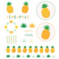Cute yellow pineapple vector illustration clipart. Hand drawn kawaii dotty ananas.