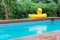 Cute yellow plastic duck toy near blue clear water swimming pool with green leaves background Royalty Free Stock Photo