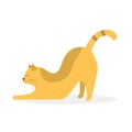 Cute yellow stretching hiding cat. Vector illustration Royalty Free Stock Photo