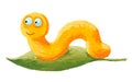 Cute yellow worm