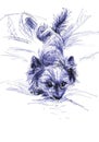 Cute Yorkshire Terrier dog. Freehand drawing with a blue ballpoint pen.