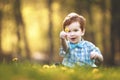 A Cute Young Boy in a Field of Flowers