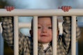 Cute young boy peering through gate Royalty Free Stock Photo