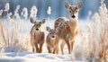 Cute young deer standing in snowy forest, looking at camera generated by AI Royalty Free Stock Photo