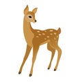 Cute young deer Royalty Free Stock Photo