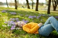 Cute young girl admiring beautiful purple crocus flowers on sunny spring day. Child and first flowers of spring, nature and fun Royalty Free Stock Photo