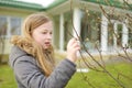 Cute young girl admiring fresh new soft buds sitting on magnolia tree branches Royalty Free Stock Photo