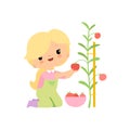 Cute Young Girl in Overalls and Rubber Boots Harvesting Tomatoes in Bowl, Farmer Girl Cartoon Character Working in