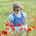 Cute young girl in poppy field Royalty Free Stock Photo