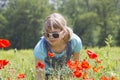 Cute young girl in poppy field Royalty Free Stock Photo