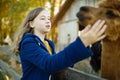 Cute young girl stroking an alpaca at a farm zoo on autumn day. Child feeding a llama on an animal farm. Kid at a petting zoo at Royalty Free Stock Photo