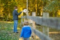 Cute young girl stroking an alpaca at a farm zoo on autumn day. Child feeding a llama on an animal farm. Kid at a petting zoo at Royalty Free Stock Photo