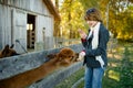 Cute young girl stroking an alpaca at a farm zoo on autumn day. Child feeding a llama on an animal farm. Kid at a petting zoo at Royalty Free Stock Photo